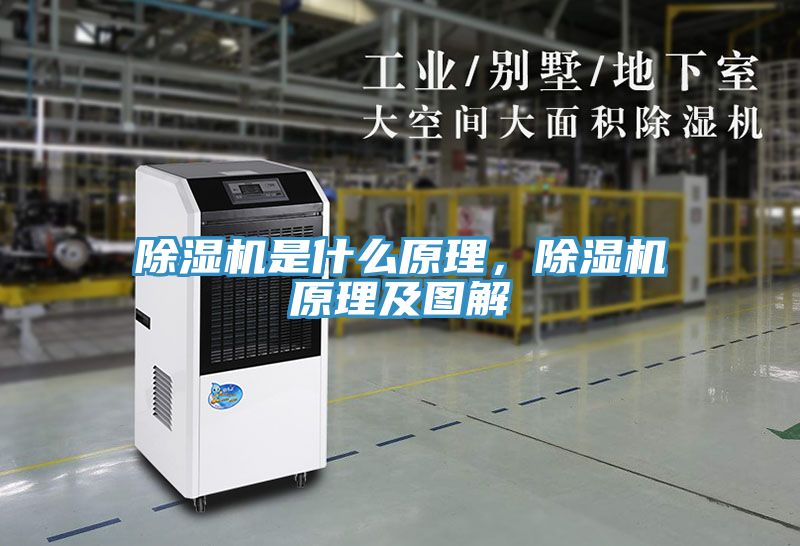 除濕機(jī)是什么原理，除濕機(jī)原理及圖解