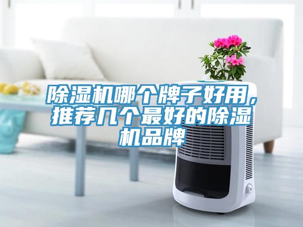除濕機哪個牌子好用，推薦幾個最好的除濕機品牌