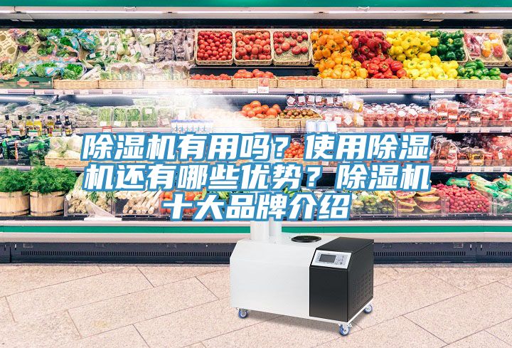除濕機(jī)有用嗎？使用除濕機(jī)還有哪些優(yōu)勢？除濕機(jī)十大品牌介紹