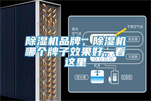 除濕機(jī)品牌，除濕機(jī)哪個(gè)牌子效果好，看這里