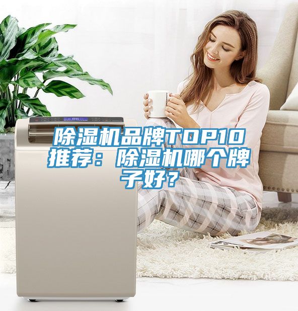 除濕機(jī)品牌TOP10推薦：除濕機(jī)哪個(gè)牌子好？