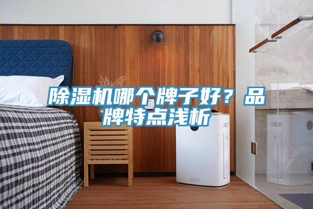 除濕機哪個牌子好？品牌特點淺析