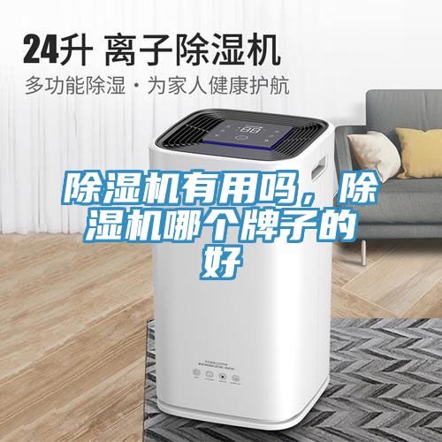 除濕機(jī)有用嗎，除濕機(jī)哪個(gè)牌子的好