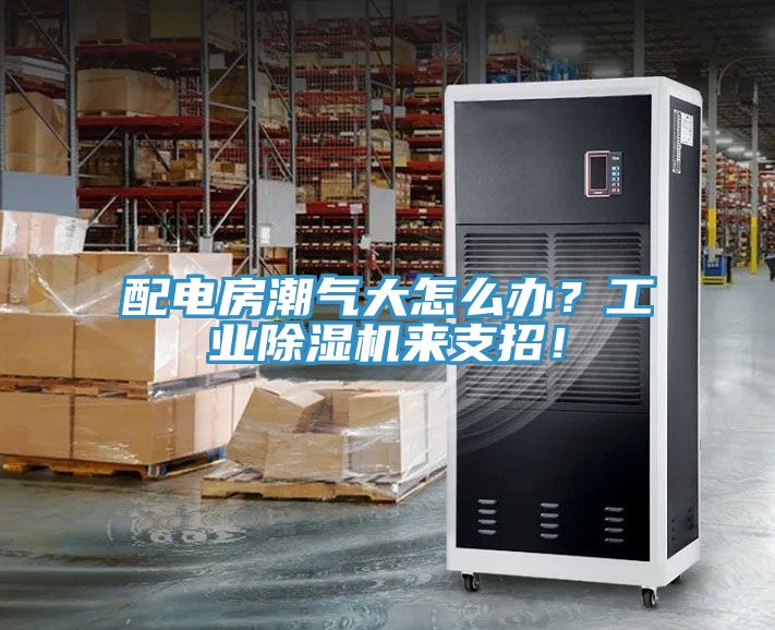 配電房潮氣大怎么辦？工業(yè)除濕機來支招！