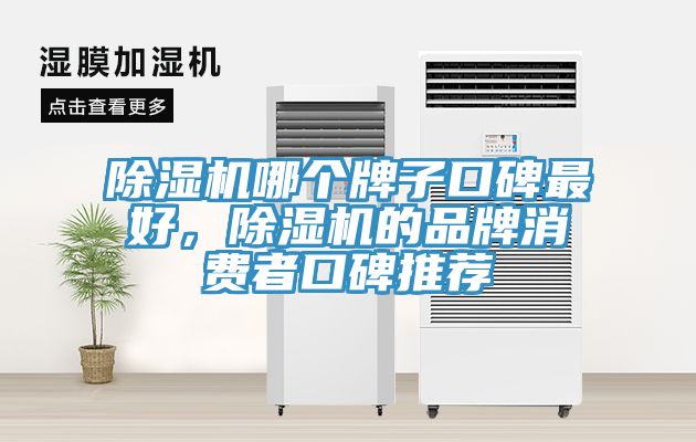 除濕機(jī)哪個牌子口碑最好，除濕機(jī)的品牌消費者口碑推薦