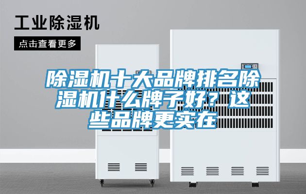 除濕機十大品牌排名除濕機什么牌子好？這些品牌更實在