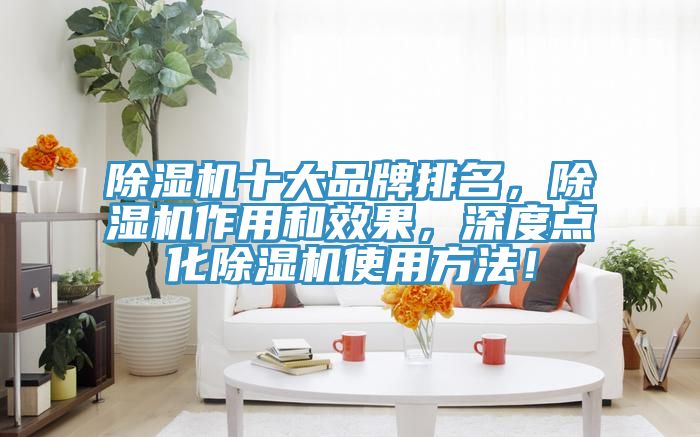 除濕機十大品牌排名，除濕機作用和效果，深度點化除濕機使用方法！