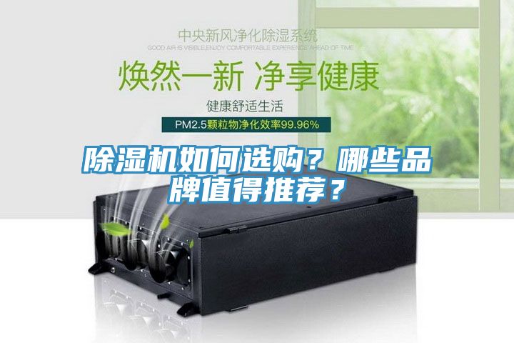 除濕機如何選購？哪些品牌值得推薦？