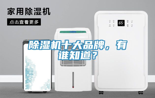 除濕機十大品牌，有誰知道？