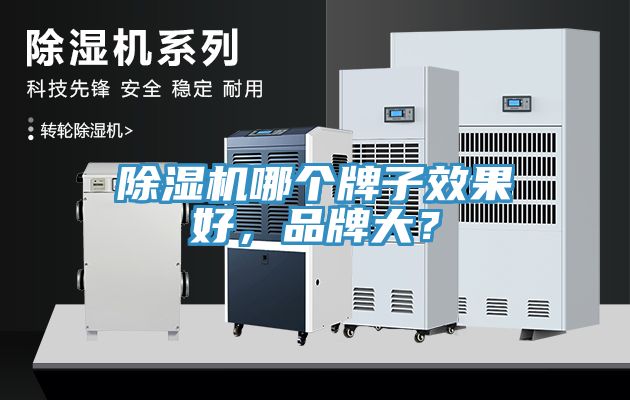 除濕機(jī)哪個牌子效果好，品牌大？