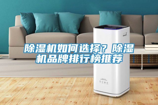除濕機如何選擇？除濕機品牌排行榜推薦