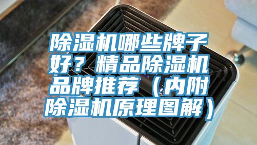 除濕機(jī)哪些牌子好？精品除濕機(jī)品牌推薦（內(nèi)附除濕機(jī)原理圖解）