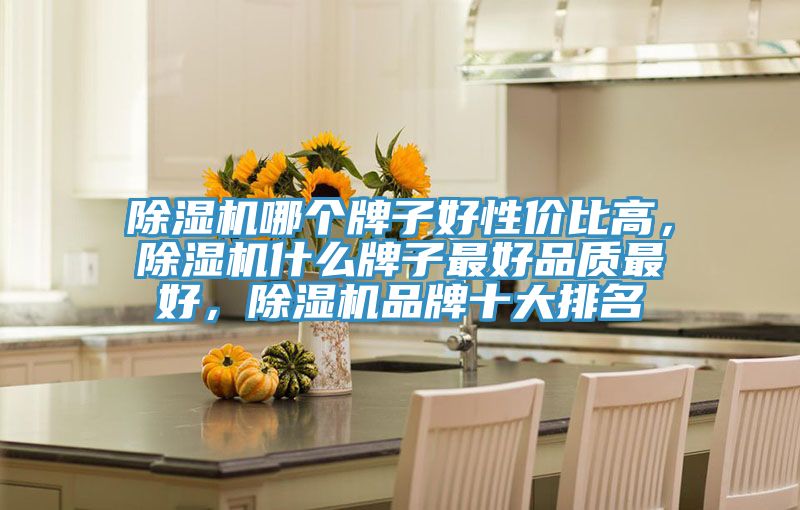 除濕機哪個牌子好性價比高，除濕機什么牌子最好品質(zhì)最好，除濕機品牌十大排名
