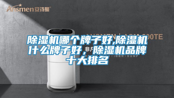 除濕機哪個牌子好,除濕機什么牌子好，除濕機品牌十大排名