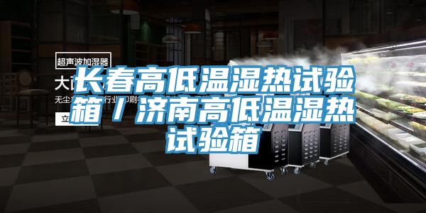 長春高低溫濕熱試驗箱／濟(jì)南高低溫濕熱試驗箱