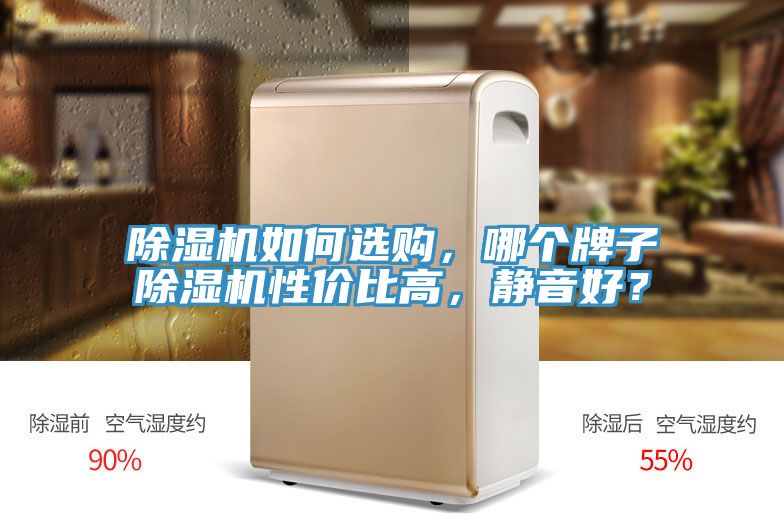 除濕機(jī)如何選購(gòu)，哪個(gè)牌子除濕機(jī)性價(jià)比高，靜音好？