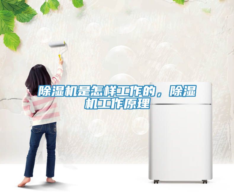 除濕機(jī)是怎樣工作的，除濕機(jī)工作原理