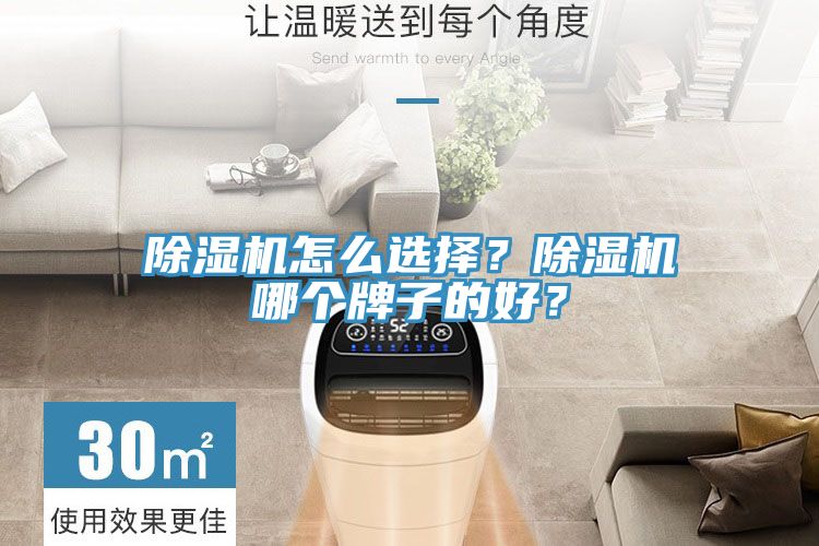 除濕機(jī)怎么選擇？除濕機(jī)哪個(gè)牌子的好？
