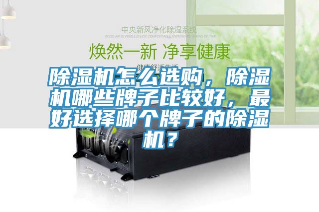 除濕機怎么選購，除濕機哪些牌子比較好，最好選擇哪個牌子的除濕機？