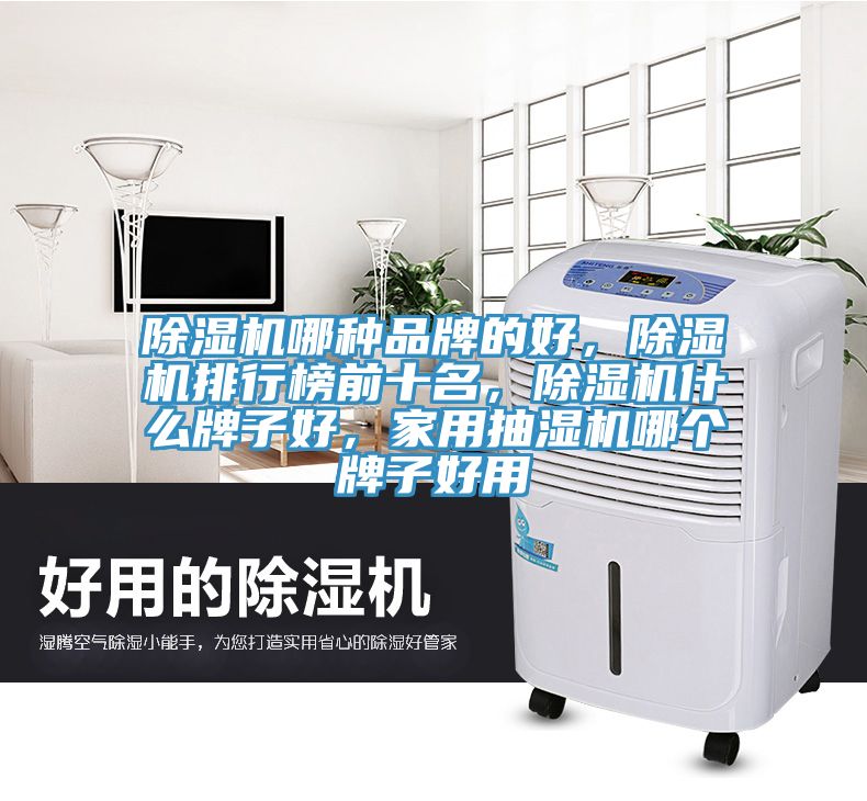 除濕機(jī)哪種品牌的好，除濕機(jī)排行榜前十名，除濕機(jī)什么牌子好，家用抽濕機(jī)哪個(gè)牌子好用