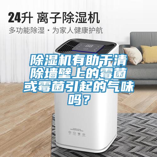 除濕機(jī)有助于清除墻壁上的霉菌或霉菌引起的氣味嗎？
