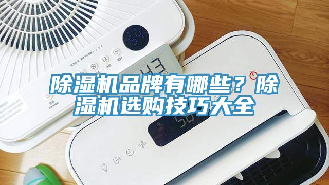 除濕機(jī)品牌有哪些？除濕機(jī)選購(gòu)技巧大全