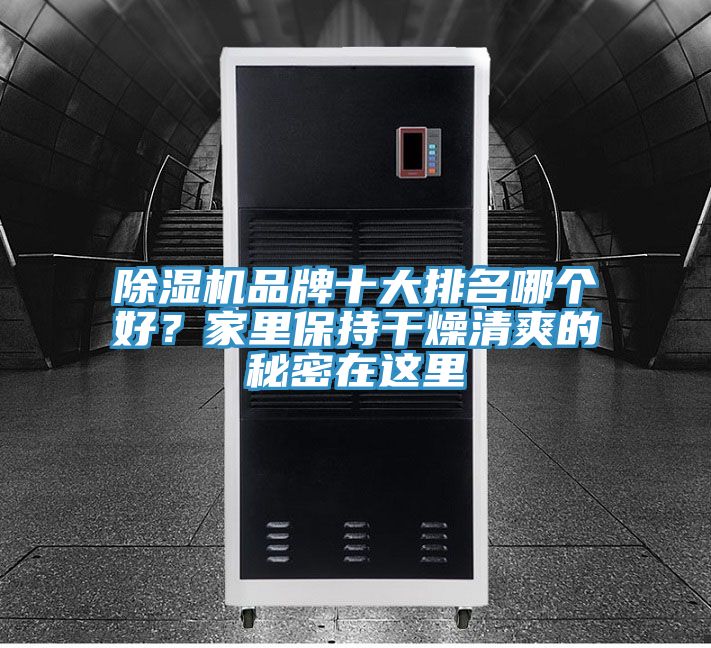 除濕機品牌十大排名哪個好？家里保持干燥清爽的秘密在這里