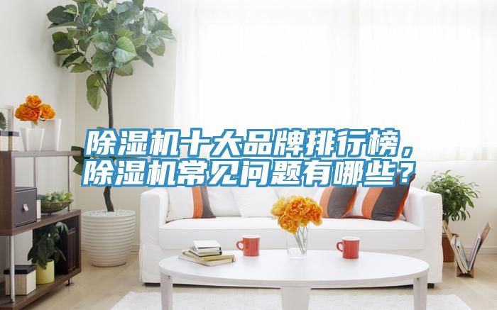 除濕機十大品牌排行榜，除濕機常見問題有哪些？