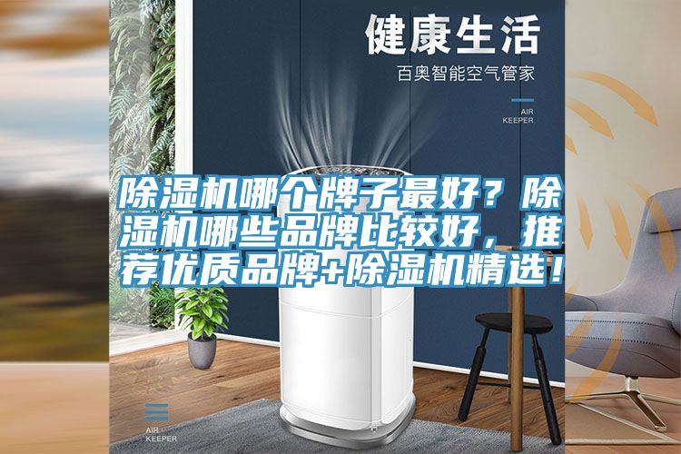 除濕機(jī)哪個牌子最好？除濕機(jī)哪些品牌比較好，推薦優(yōu)質(zhì)品牌+除濕機(jī)精選！