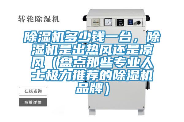 除濕機多少錢一臺，除濕機是出熱風(fēng)還是涼風(fēng)（盤點那些專業(yè)人士極力推薦的除濕機品牌）