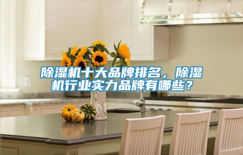 除濕機十大品牌排名，除濕機行業(yè)實力品牌有哪些？