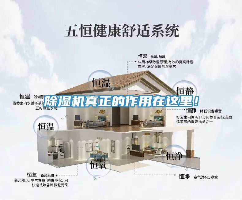 除濕機真正的作用在這里！