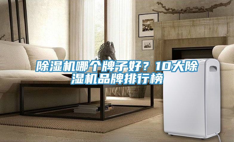 除濕機哪個牌子好？10大除濕機品牌排行榜