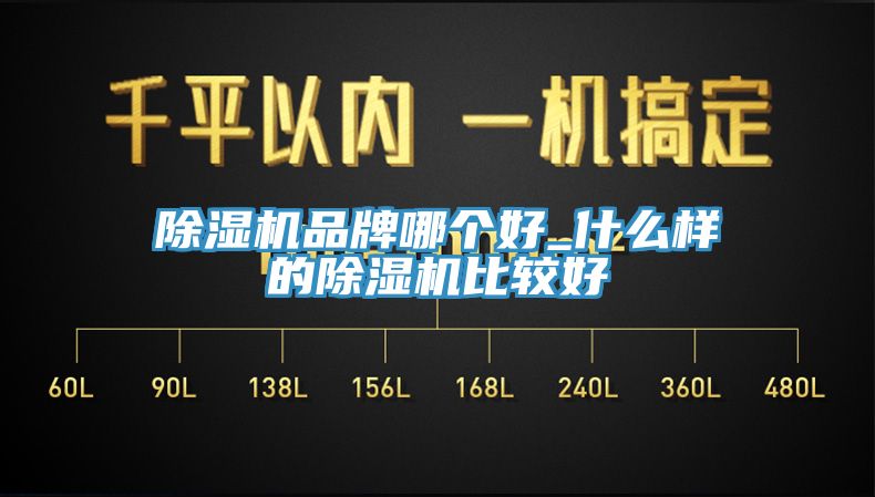 除濕機(jī)品牌哪個好_什么樣的除濕機(jī)比較好