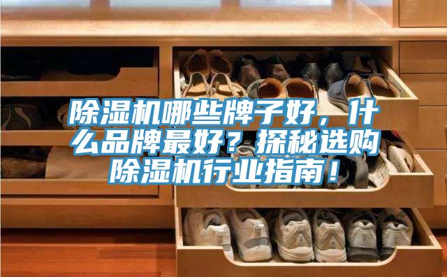 除濕機(jī)哪些牌子好，什么品牌最好？探秘選購除濕機(jī)行業(yè)指南！