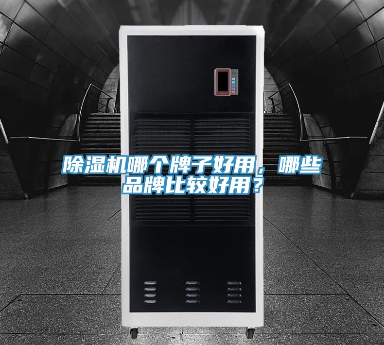除濕機哪個牌子好用，哪些品牌比較好用？