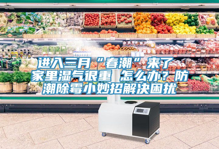 進(jìn)入三月“春潮”來(lái)了 家里濕氣很重 怎么辦？防潮除霉小妙招解決困擾