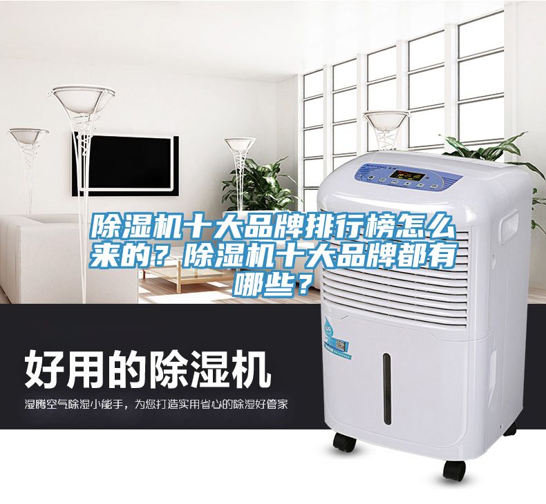 除濕機十大品牌排行榜怎么來的？除濕機十大品牌都有哪些？