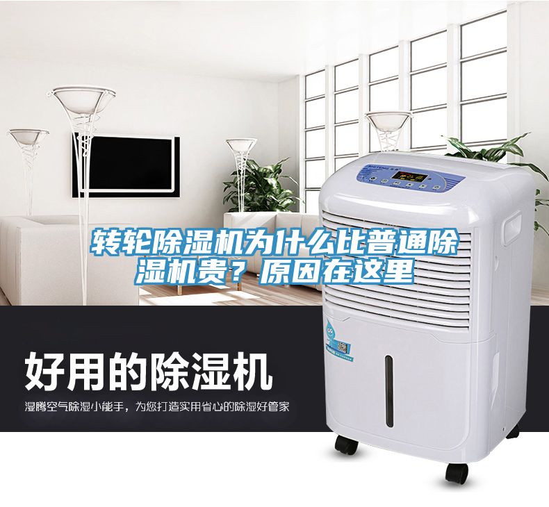 轉(zhuǎn)輪除濕機為什么比普通除濕機貴？原因在這里