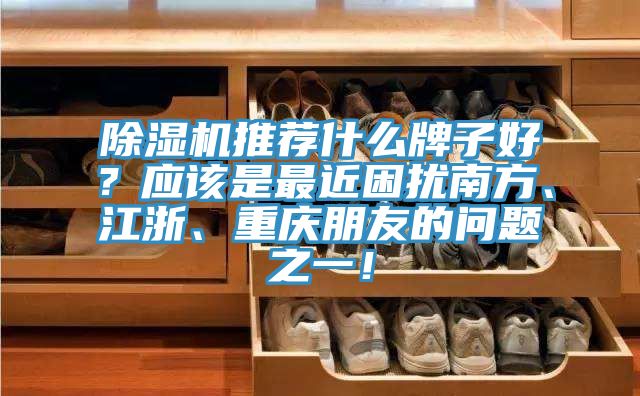 除濕機推薦什么牌子好？應(yīng)該是最近困擾南方、江浙、重慶朋友的問題之一！