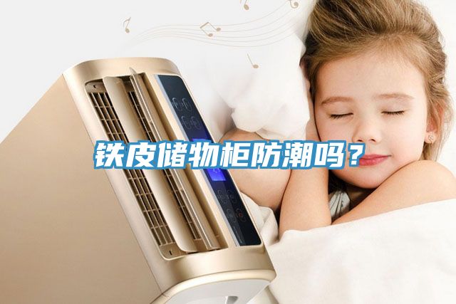 鐵皮儲(chǔ)物柜防潮嗎？