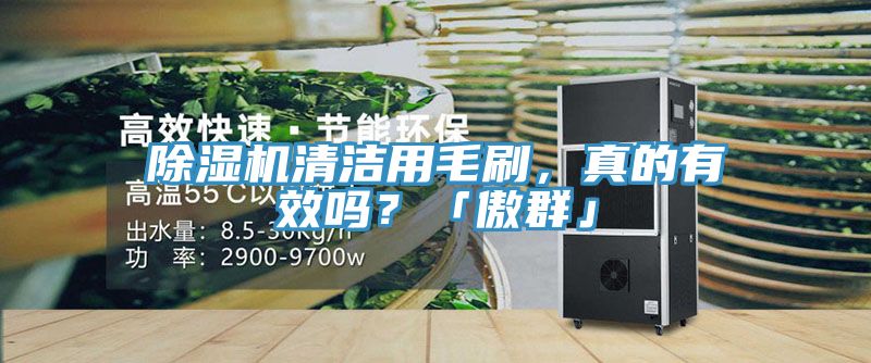 除濕機(jī)清潔用毛刷，真的有效嗎？「傲群」