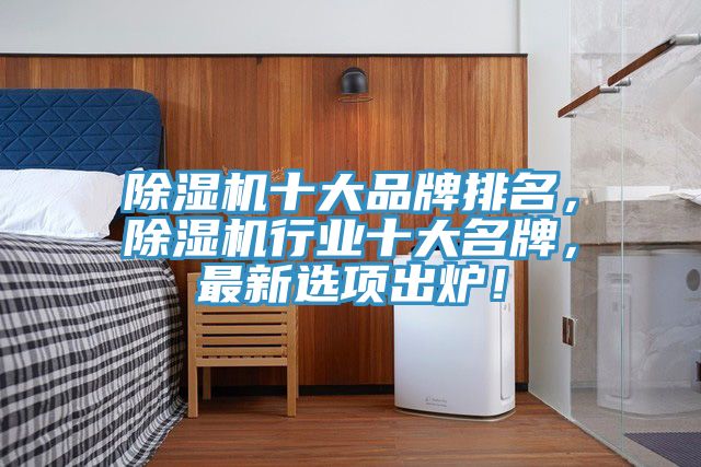 除濕機十大品牌排名，除濕機行業(yè)十大名牌，最新選項出爐！