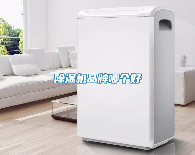 除濕機(jī)品牌哪個好