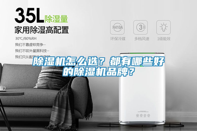 除濕機(jī)怎么選？都有哪些好的除濕機(jī)品牌？