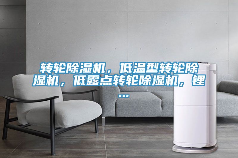 轉(zhuǎn)輪除濕機，低溫型轉(zhuǎn)輪除濕機，低露點轉(zhuǎn)輪除濕機，鋰 ...