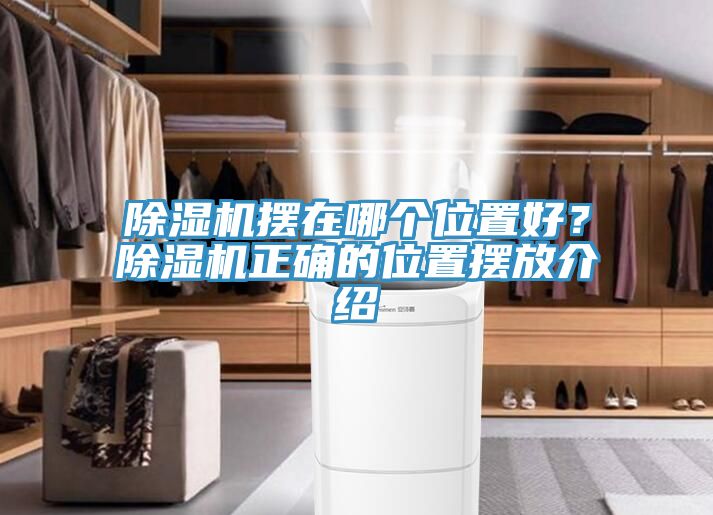 除濕機擺在哪個位置好？除濕機正確的位置擺放介紹