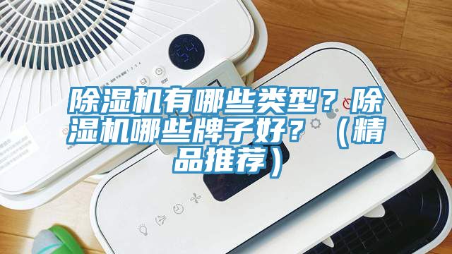 除濕機(jī)有哪些類型？除濕機(jī)哪些牌子好？（精品推薦）
