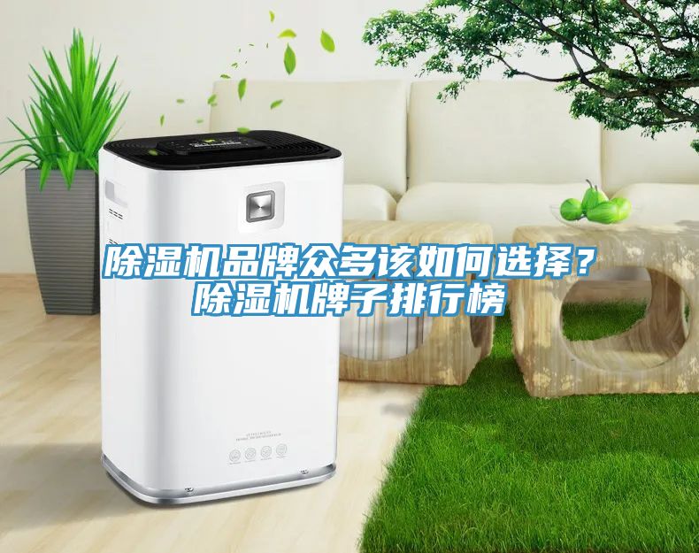 除濕機(jī)品牌眾多該如何選擇？除濕機(jī)牌子排行榜