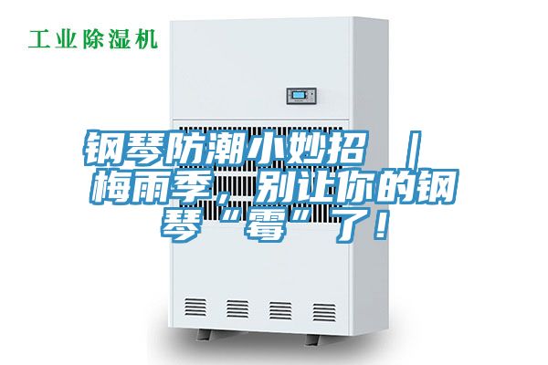 鋼琴防潮小妙招 ｜ 梅雨季，別讓你的鋼琴“霉”了！